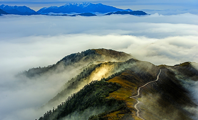 首页|bifa必发集团中国官方网站