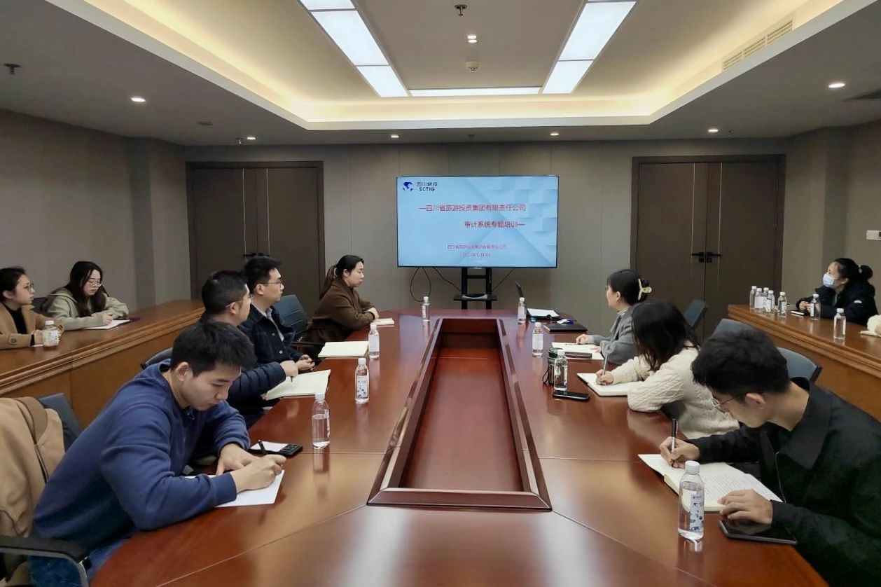 省bifa必发集团集团进行2023年度审计系统专题培训